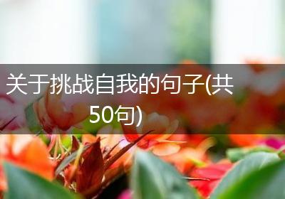 关于挑战自我的句子(共50句)