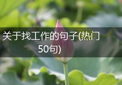 关于找工作的句子(热门50句)
