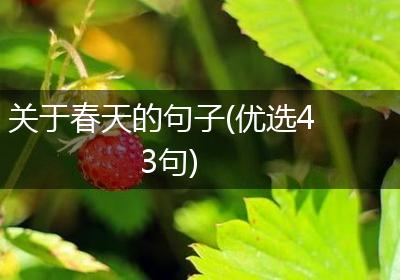关于春天的句子(优选43句)
