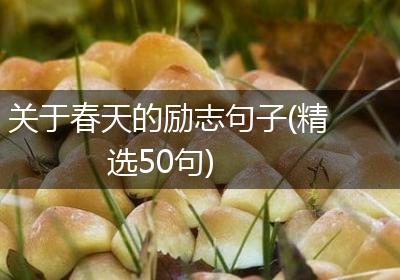 关于春天的励志句子(精选50句)