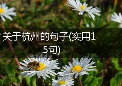 关于杭州的句子(实用15句)