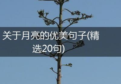 关于月亮的优美句子(精选20句)