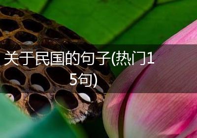 关于民国的句子(热门15句)