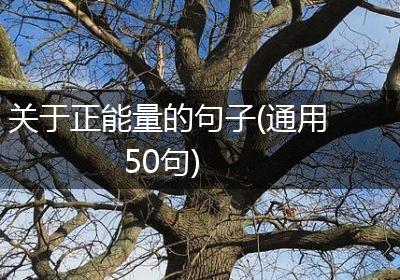 关于正能量的句子(通用50句)