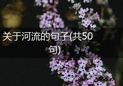 关于河流的句子(共50句)