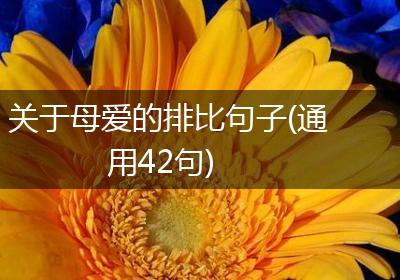 关于母爱的排比句子(通用42句)