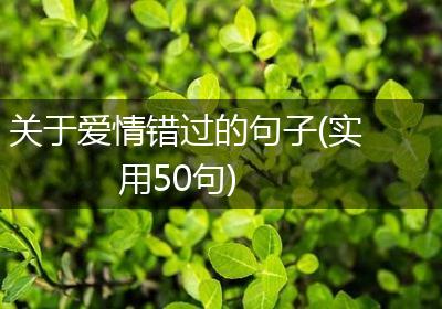 关于爱情错过的句子(实用50句)