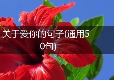 关于爱你的句子(通用50句)