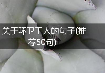 关于环卫工人的句子(推荐50句)