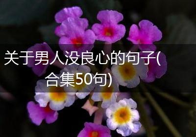 关于男人没良心的句子(合集50句)