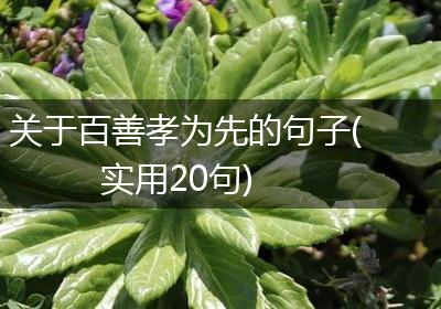 关于百善孝为先的句子(实用20句)