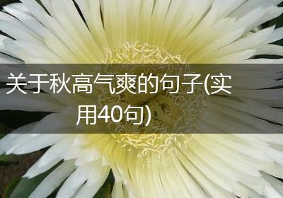 关于秋高气爽的句子(实用40句)