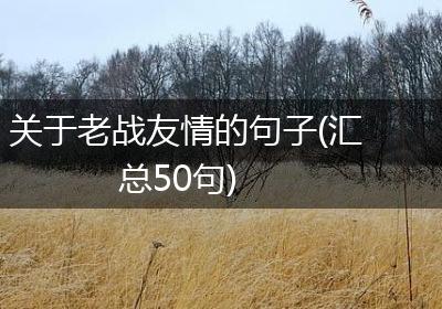 关于老战友情的句子(汇总50句)