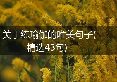 关于练瑜伽的唯美句子(精选43句)