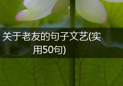 关于老友的句子文艺(实用50句)