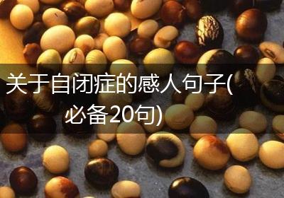 关于自闭症的感人句子(必备20句)