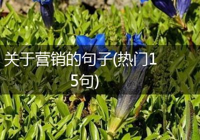 关于营销的句子(热门15句)