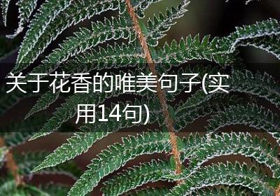 关于花香的唯美句子(实用14句)