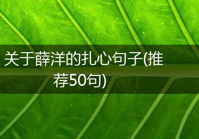 关于薛洋的扎心句子(推荐50句)