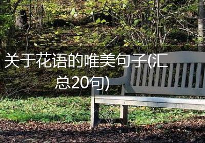 关于花语的唯美句子(汇总20句)