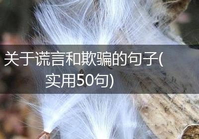 关于谎言和欺骗的句子(实用50句)