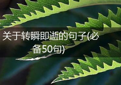 关于转瞬即逝的句子(必备50句)