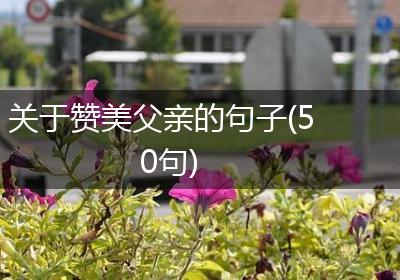 关于赞美父亲的句子(50句)