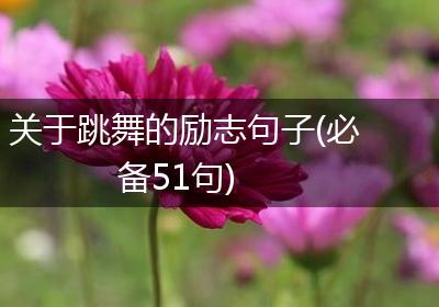 关于跳舞的励志句子(必备51句)