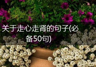 关于走心走肾的句子(必备50句)