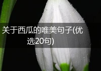 关于西瓜的唯美句子(优选20句)