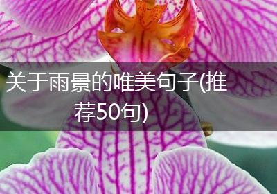 关于雨景的唯美句子(推荐50句)