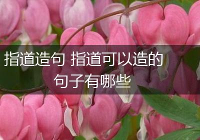 指道造句 指道可以造的句子有哪些