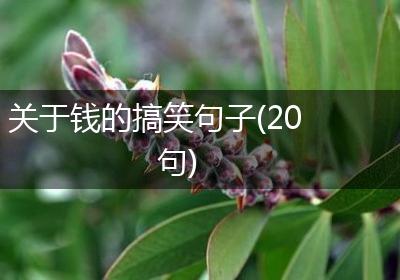关于钱的搞笑句子(20句)