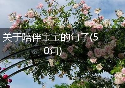 关于陪伴宝宝的句子(50句)