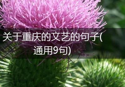 关于重庆的文艺的句子(通用9句)