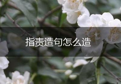 指责造句怎么造