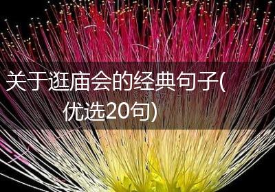 关于逛庙会的经典句子(优选20句)
