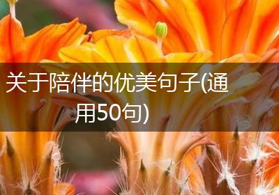关于陪伴的优美句子(通用50句)