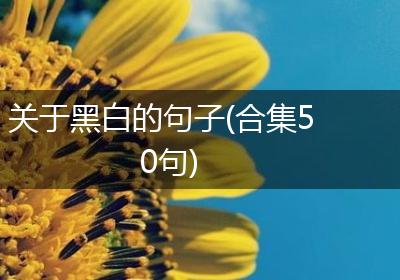 关于黑白的句子(合集50句)