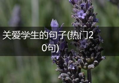 关爱学生的句子(热门20句)