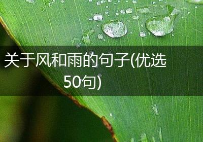 关于风和雨的句子(优选50句)