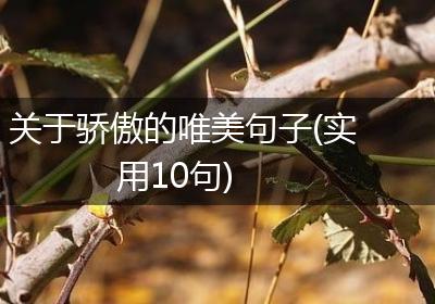 关于骄傲的唯美句子(实用10句)
