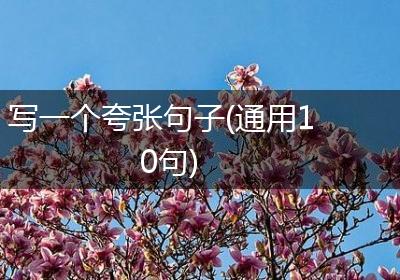 写一个夸张句子(通用10句)