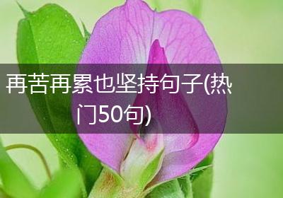 再苦再累也坚持句子(热门50句)