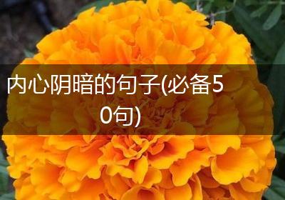 内心阴暗的句子(必备50句)