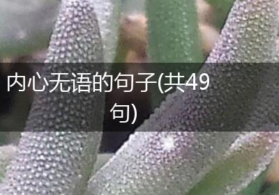 内心无语的句子(共49句)