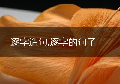 逐字造句,逐字的句子
