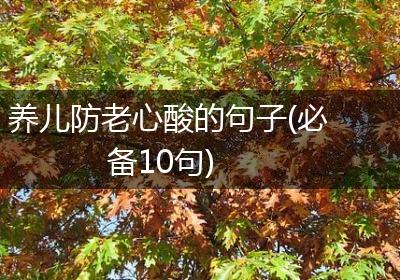养儿防老心酸的句子(必备10句)
