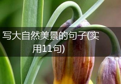 写大自然美景的句子(实用11句)