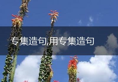 专集造句,用专集造句
